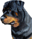 Le Rott